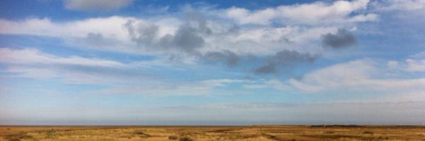 cat_macdougall Profile Banner