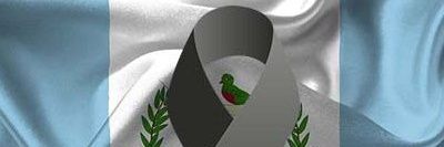 eraulhg's profile banner image