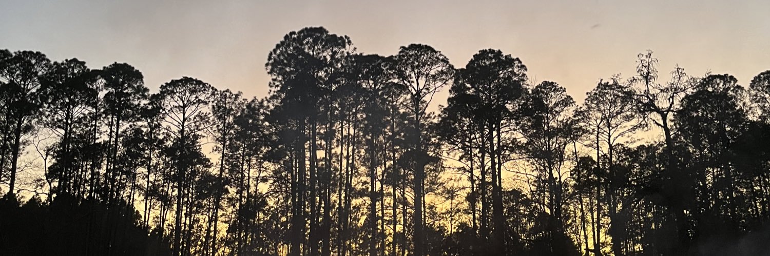patty_moore's profile banner image