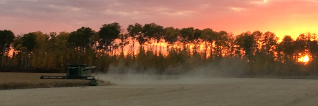 backwoodsboy35's profile banner image