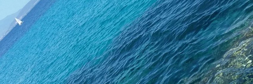 vascodocet's profile banner image