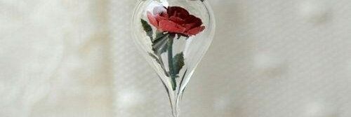 dawaser_fatima's profile banner image
