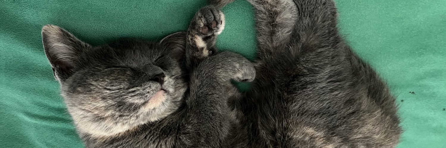 belenmignaco's profile banner image