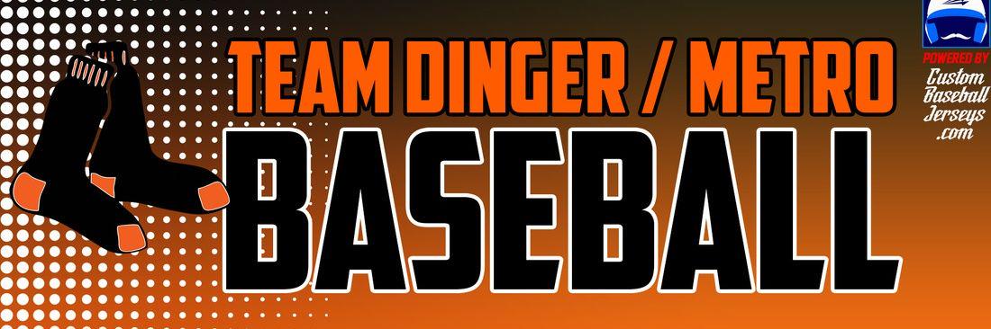 teamdinger's profile banner image