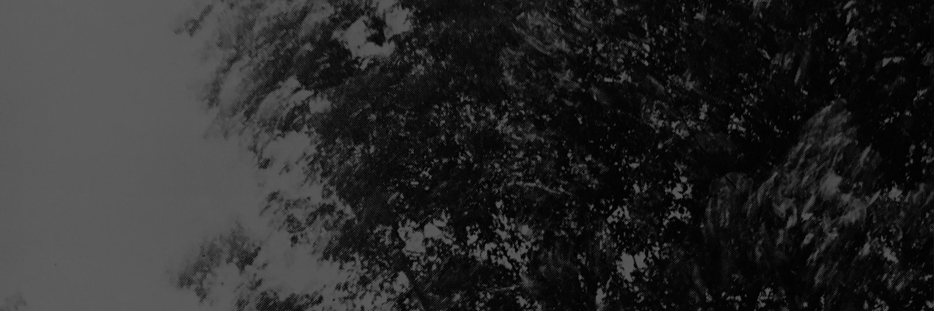 _ar_p's profile banner image