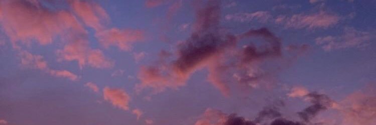 ZippererMaddie's profile banner image