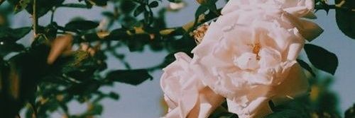 nadiah3758's profile banner image