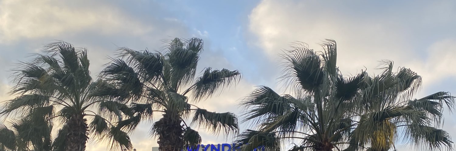 Aylinogs's profile banner image
