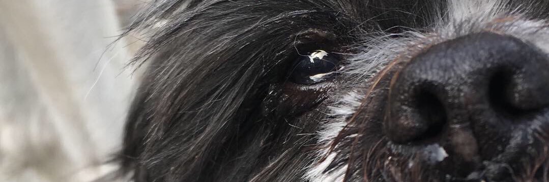 bemad666's profile banner image
