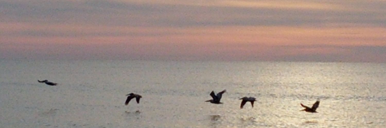 tbuethner's profile banner image