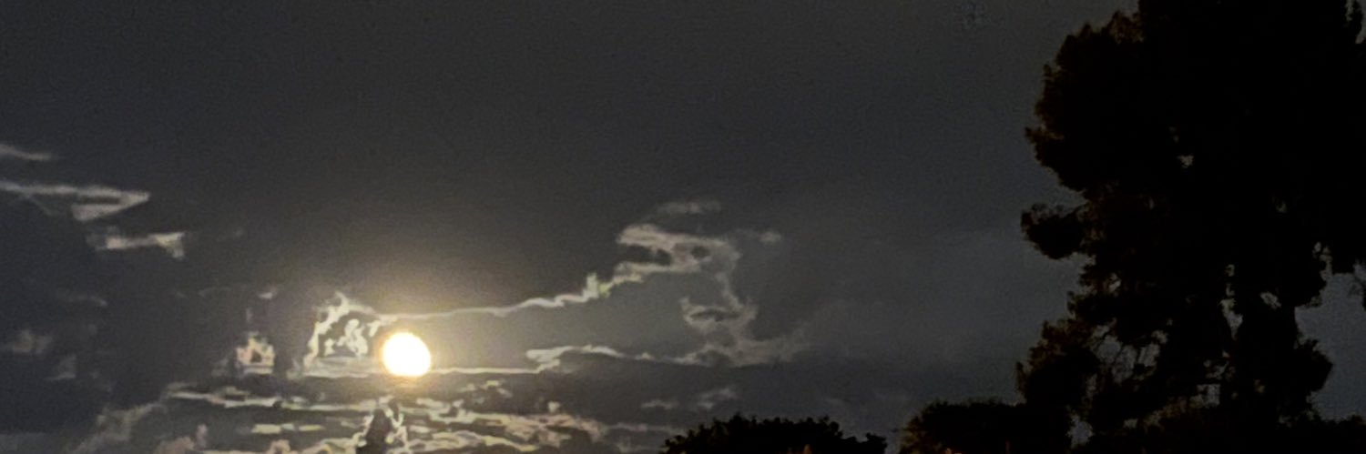 loveblush49's profile banner image