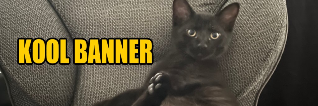Br4ss's profile banner image