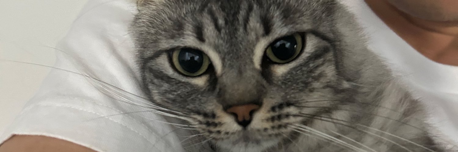 lynnphan_'s profile banner image