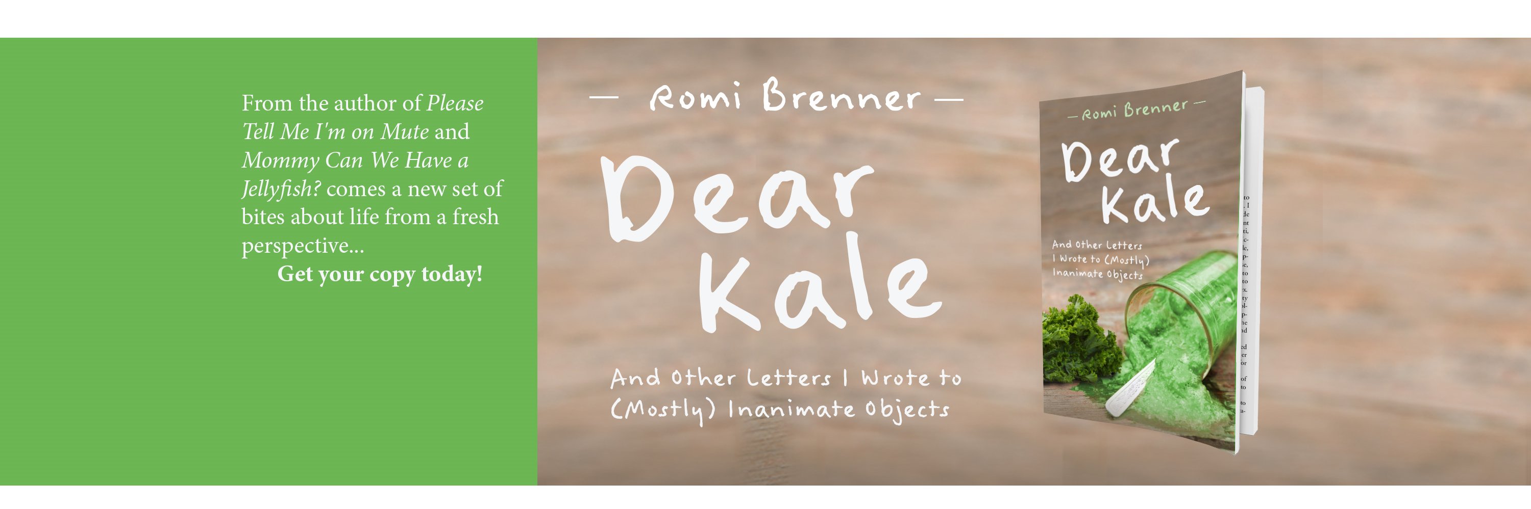 RomiBrennerBook's profile banner image