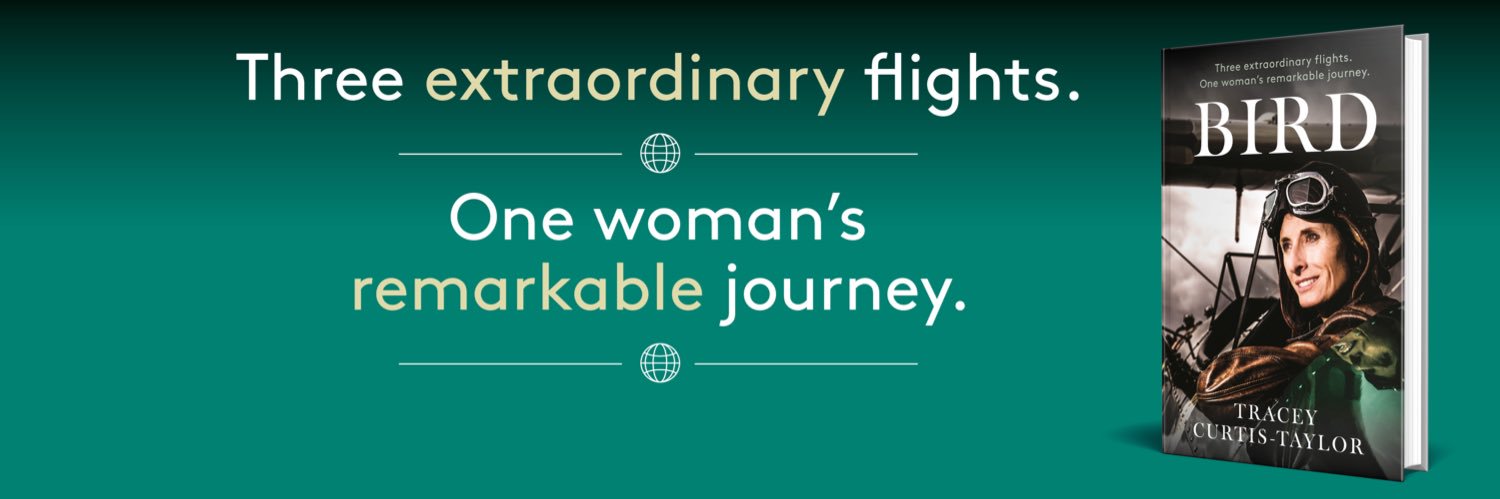 biplanebird's profile banner image