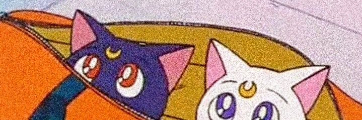 baekkummie's profile banner image