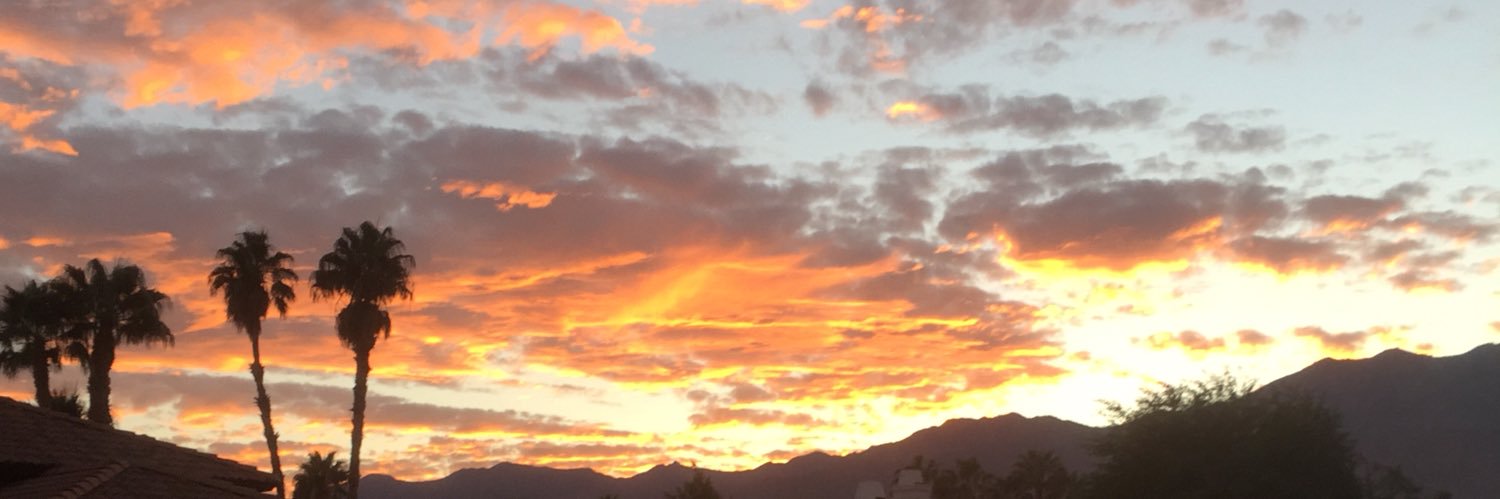 layne_train2's profile banner image