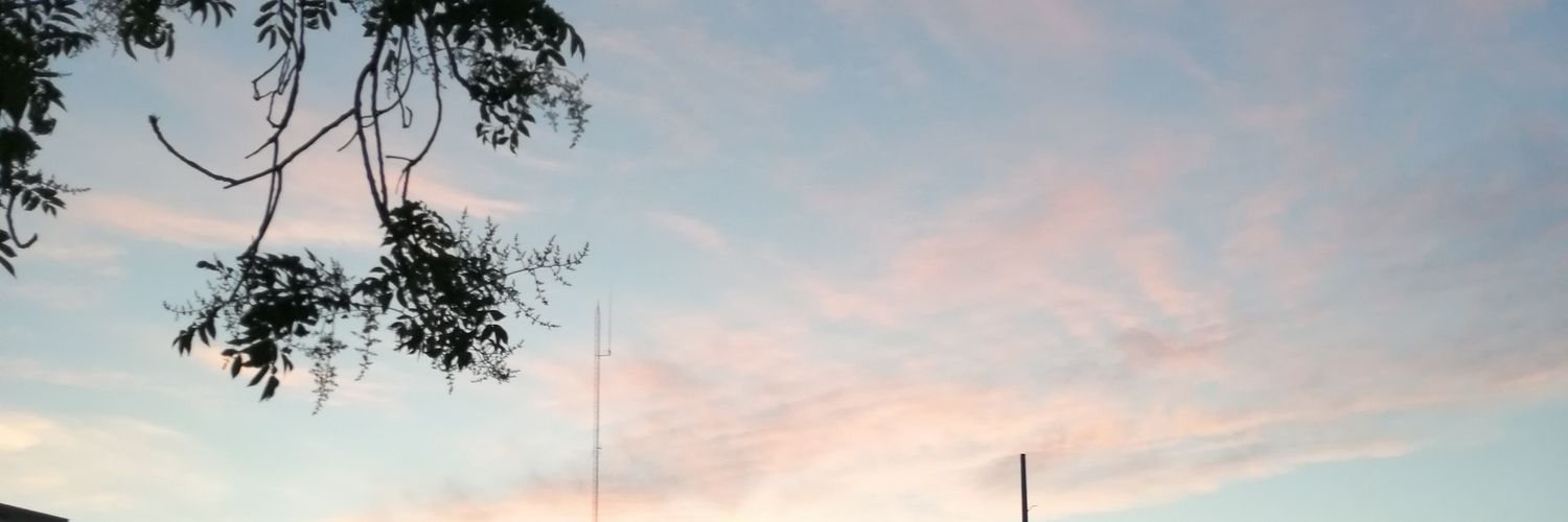 JoyBalderas's profile banner image