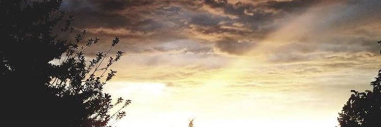 ehunthome's profile banner image