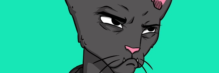 cristian gabriel banner