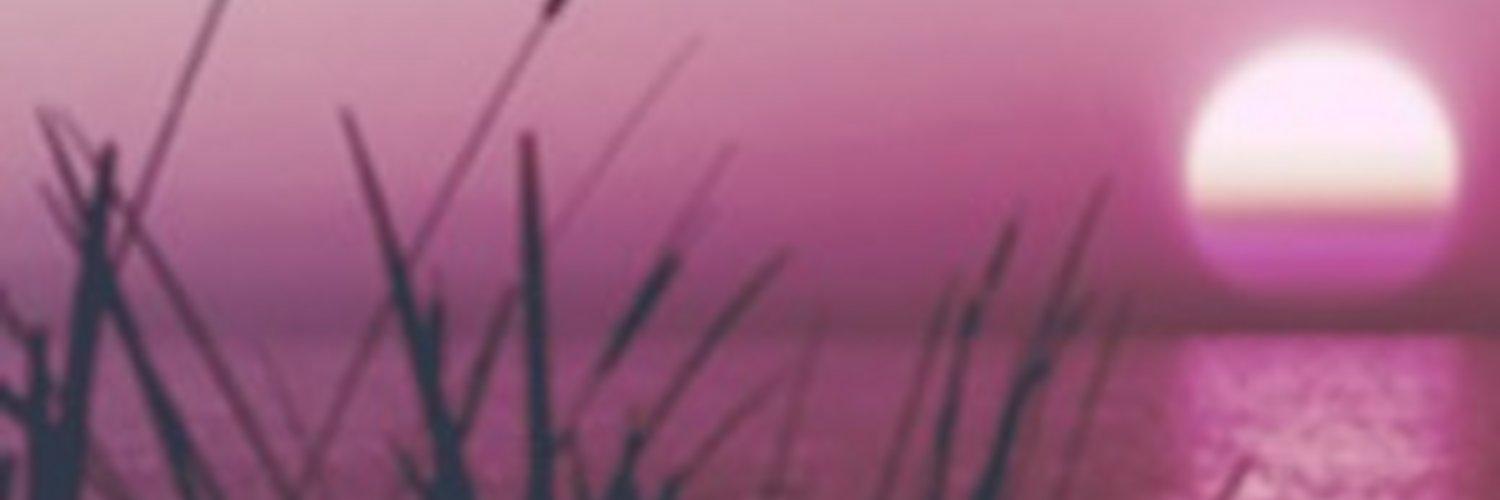 Gabs_RMZ's profile banner image