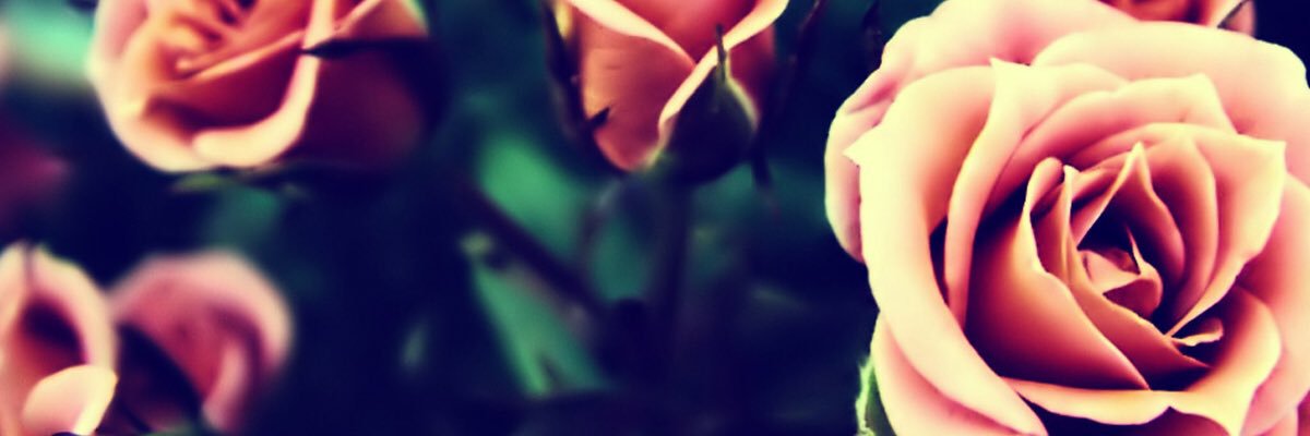 isabel2point0's profile banner image
