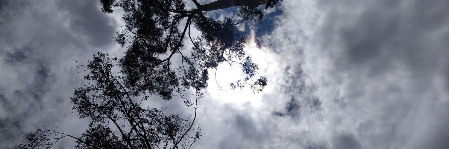 LormoDe's profile banner image