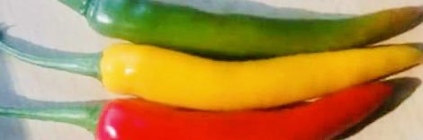 W0SI's profile banner image
