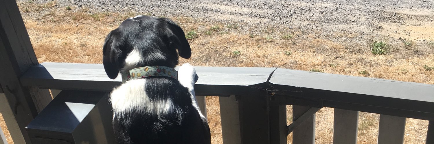 _jacks35's profile banner image