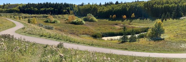 HerbDerby Profile Banner