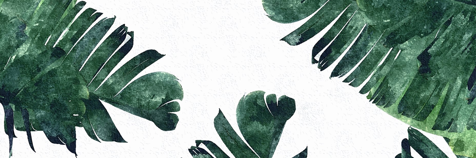 kllymills's profile banner image