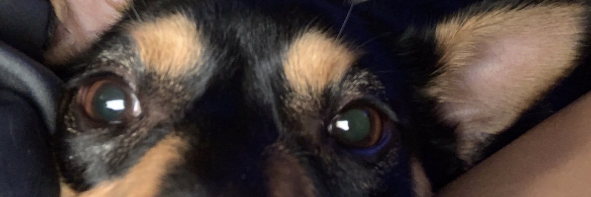 raynningzz_'s profile banner image