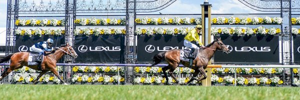 FreedmanRacing Profile Banner