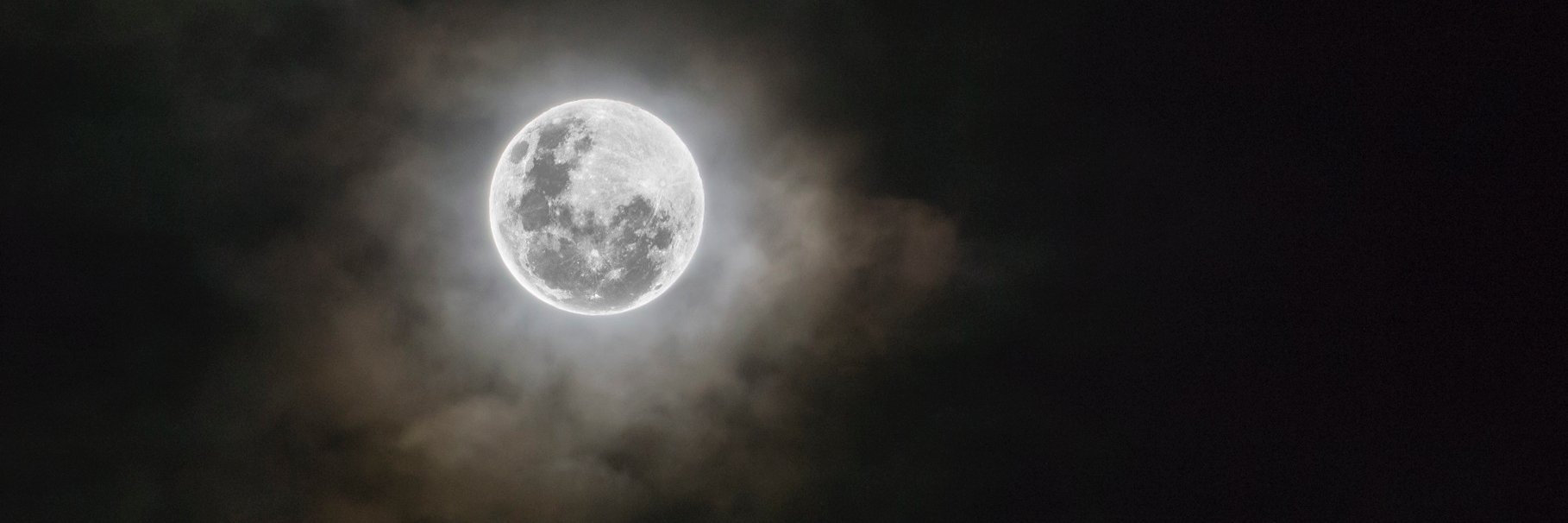 BlackMoonLady_'s profile banner image
