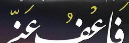 maddini's profile banner image