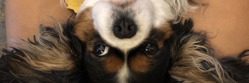 Heather-lynn banner