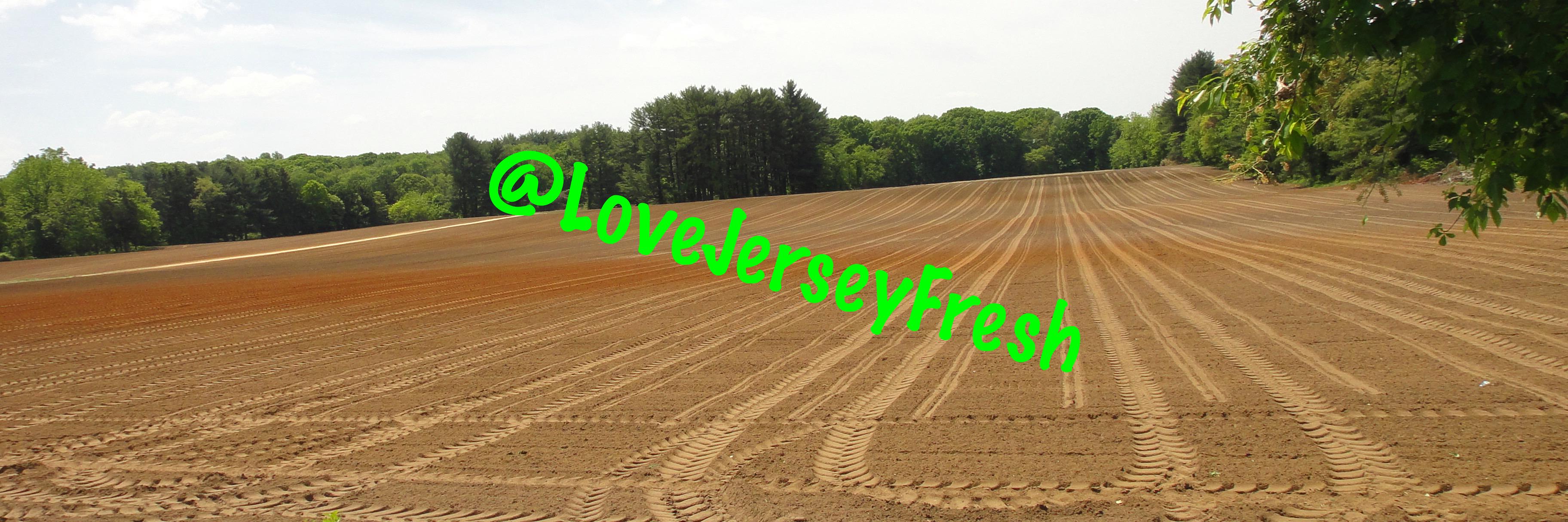 LoveJerseyFresh's profile banner image