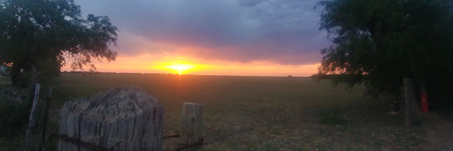 yzamora1979's profile banner image