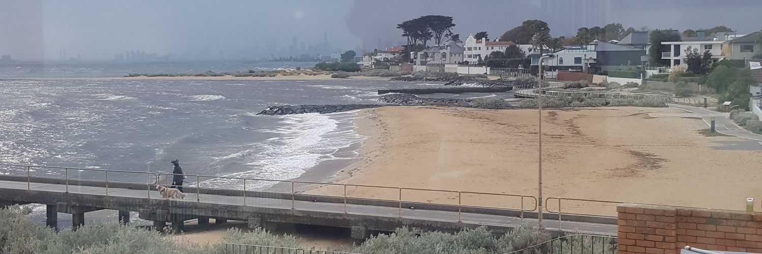 Nerida J Wallace banner