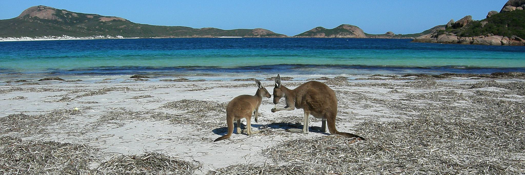 SandyAustralia's profile banner image