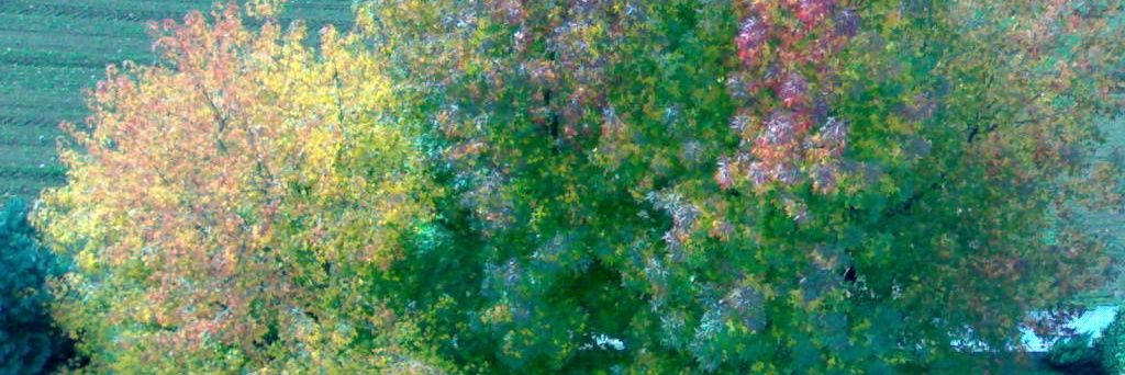 assedastiro's profile banner image