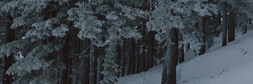 audre_ramey's profile banner image
