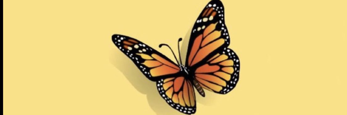 taywright06's profile banner image