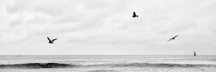 dislocation_07's profile banner image