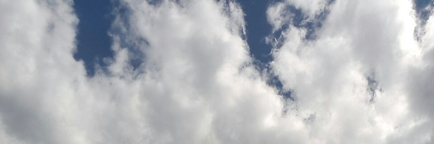rozee_sol's profile banner image