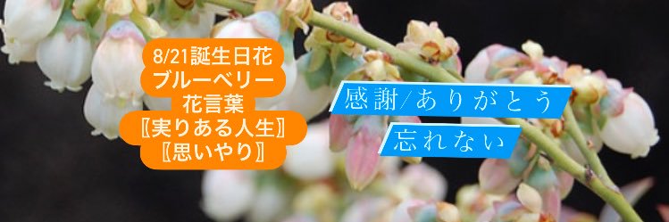 yuko_12_s's profile banner image