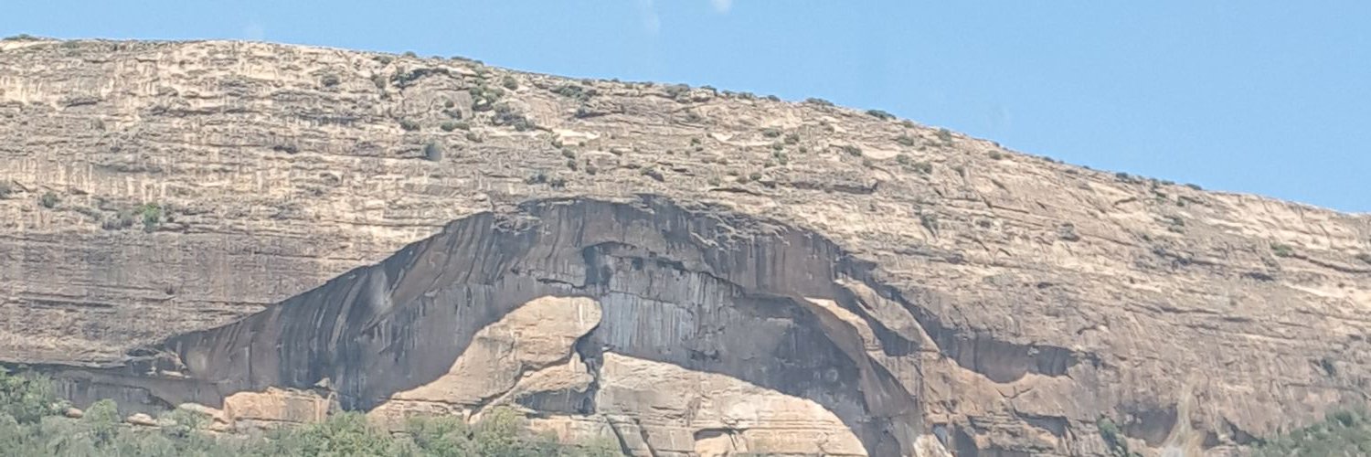 mpmolise's profile banner image