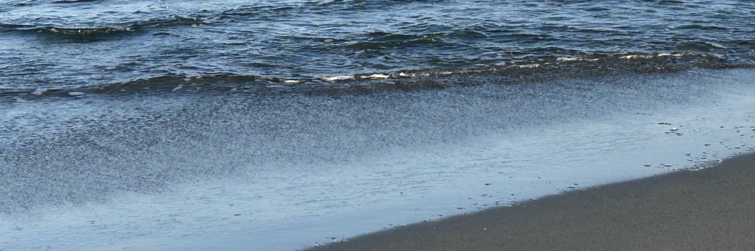 FururiMama98's profile banner image