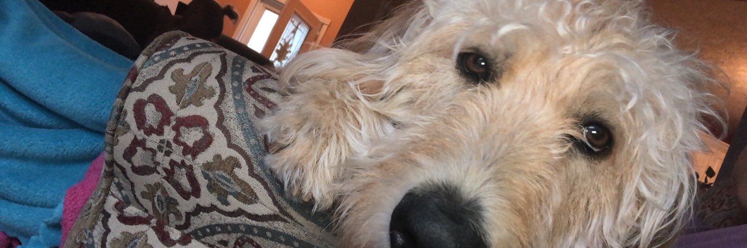 katewebb11's profile banner image