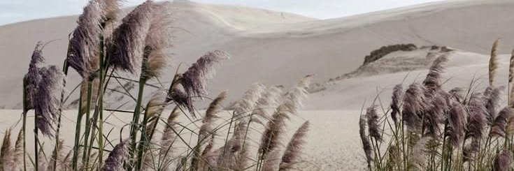 noizti's profile banner image